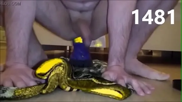 Extreme number of anal insertions (big dildos, bottles, fruits, double penetration, triple penetration, prolapse إجمالي الأنبوبة الساخنة