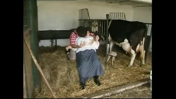 Chaud Spermageile vache Fotzen. Porno, -de- (UPLOAD Pornoland Tube total